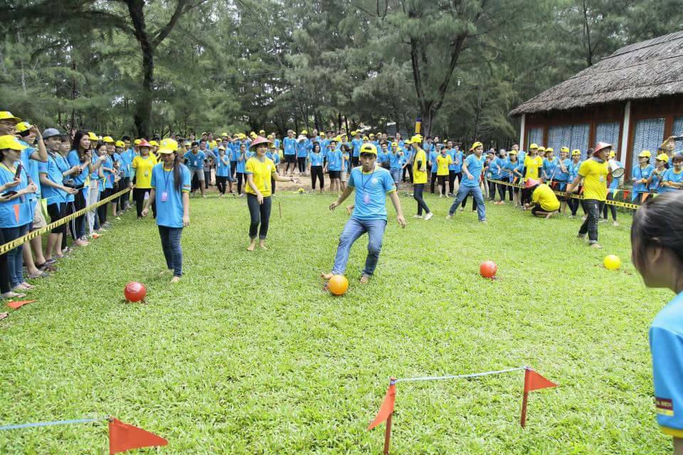 Lý do Zenna Pool Camp là lựa chọn số một cho hoạt động Teambuilding